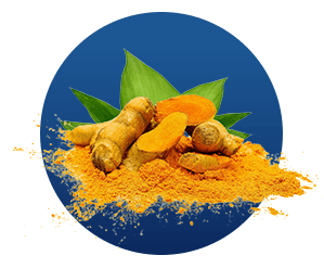 Turmeric