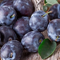 Prune Powder